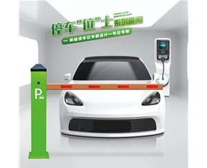 金乡RG-CW系列车位小道闸